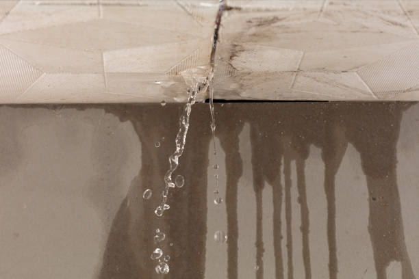 Professional Structural Drying technician working in Mason, MI